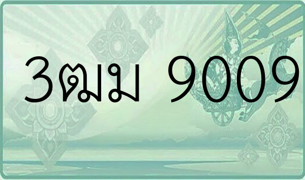 3ฒม 9009